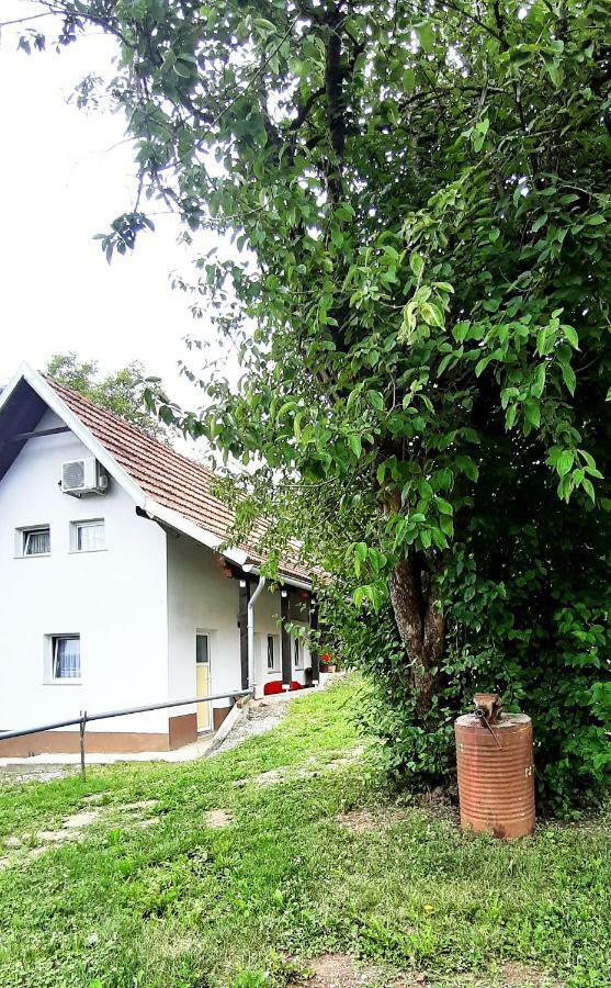Apartman Nino Tounj Exterior foto